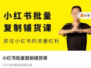 张宾·小红书批量复制铺货课,抓住小红书的流量红利 (更新2023年2月)-599资源坊